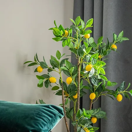 Luxury Residences & In At Coresi Mall *