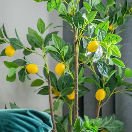 Luxury Residences & In At Coresi Mall