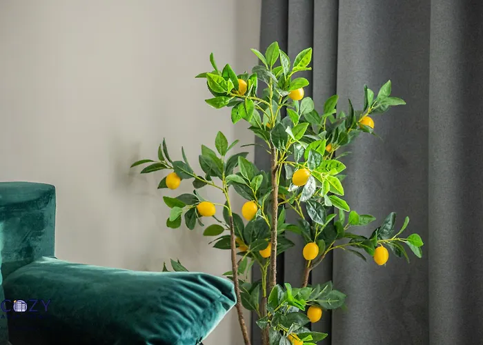 Luxury Residences & In At Coresi Mall *