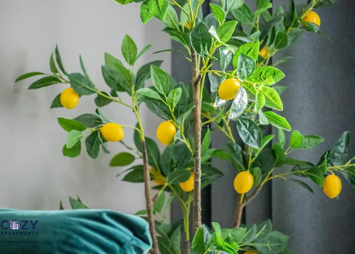 Luxury Residences & In At Coresi Mall