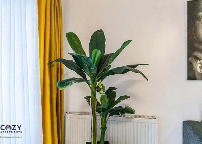 Luxury Residences & In At Coresi Mall *